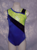 Yellow & Blue Leotard